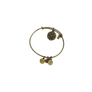 Alex and Ani Gold Charm Bracelet Snowflake 2016 Casual Collectible Stretch